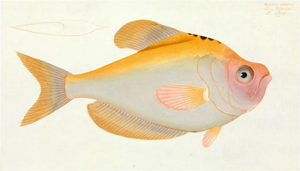 IXXI Yellow Fish wanddecoratie