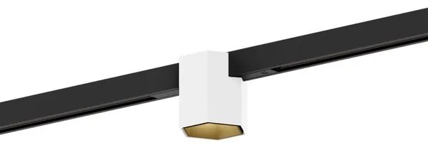 Wever&amp;Ducre -  Railverlichting Hexo Zwart / Wit / Goud Modern