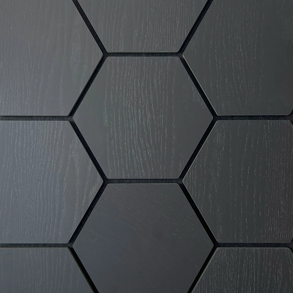 Sample   Hexagon Panel Zwart