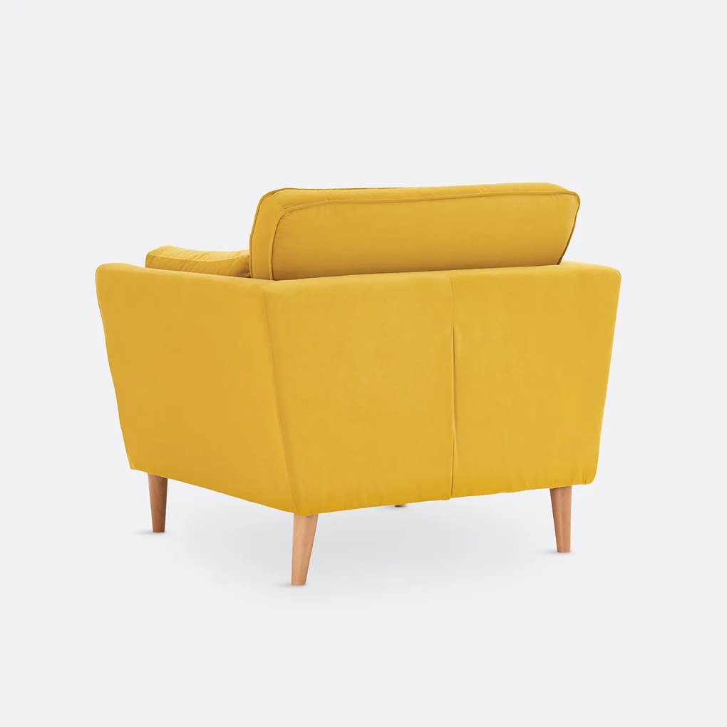 Fauteuil in fluweel, Tasie