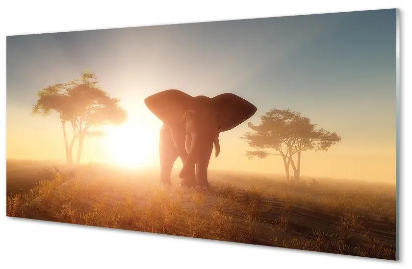 Foto in plexiglas Elephant tree east 100x50 cm