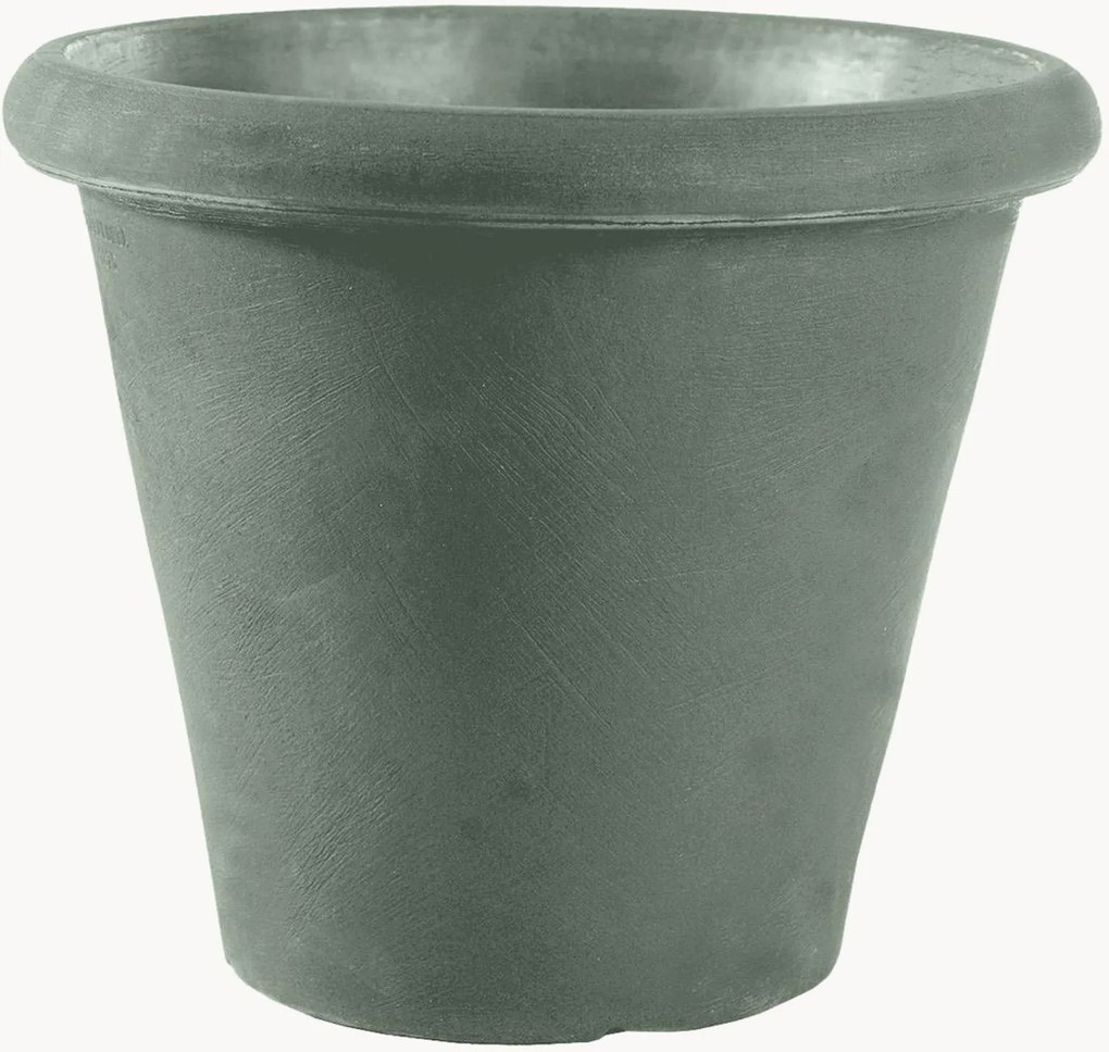 Plantenpot Camelia