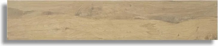 Houtlook Tegel 23x120 Cm Decibel Beige N54