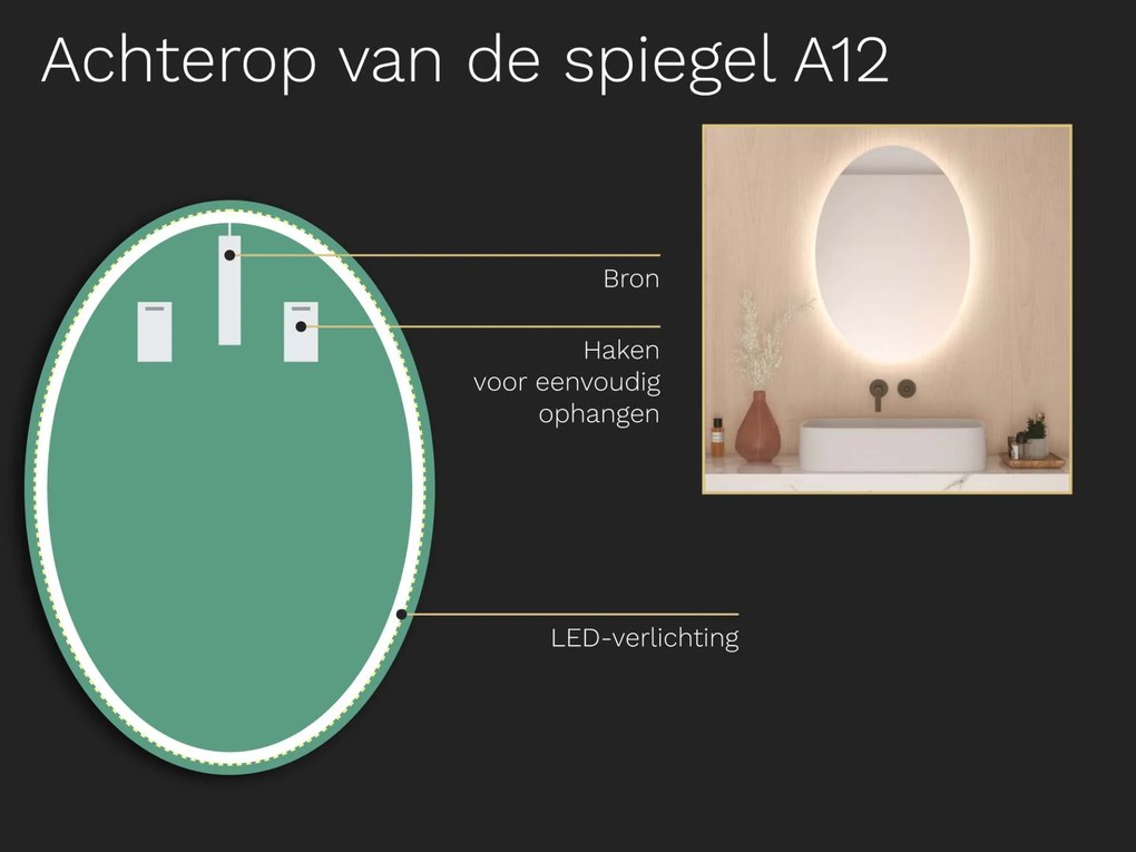 Ovale badkamerspiegel met LED verlichting A12