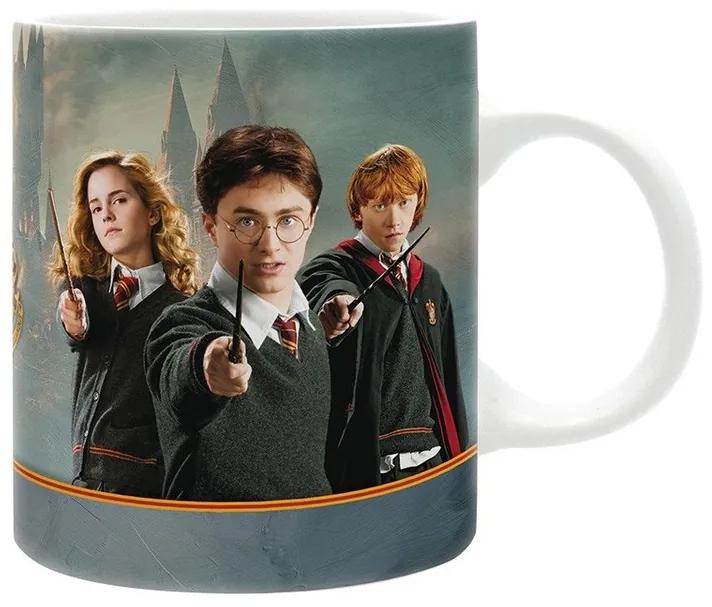 Mok Harry Potter - Harry & Co