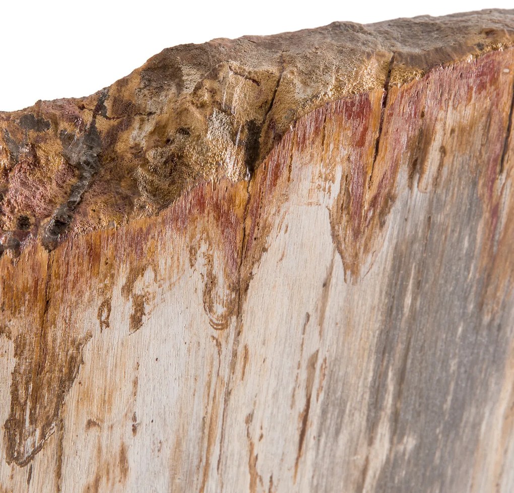 Decoratie in versteend hout op een sokkel, Kayu