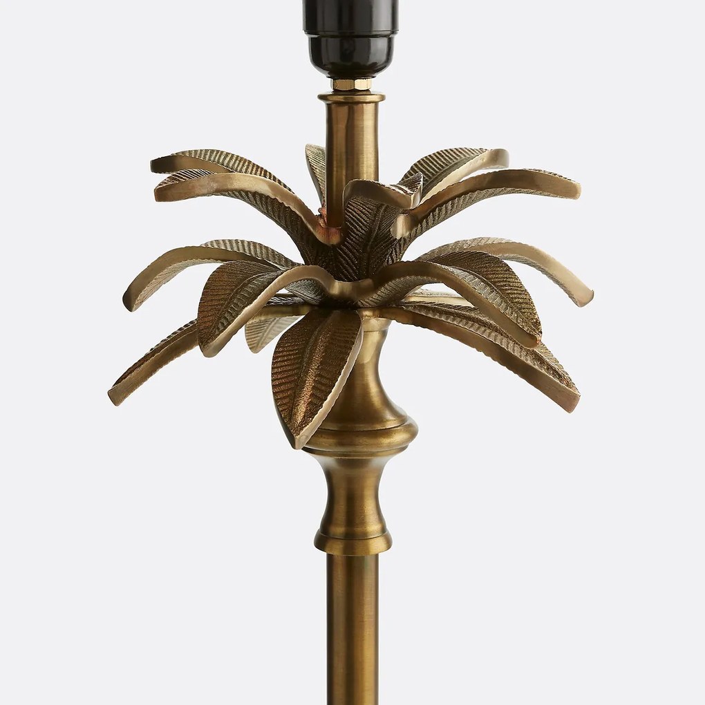 Lampenvoet palmboom, Yvor