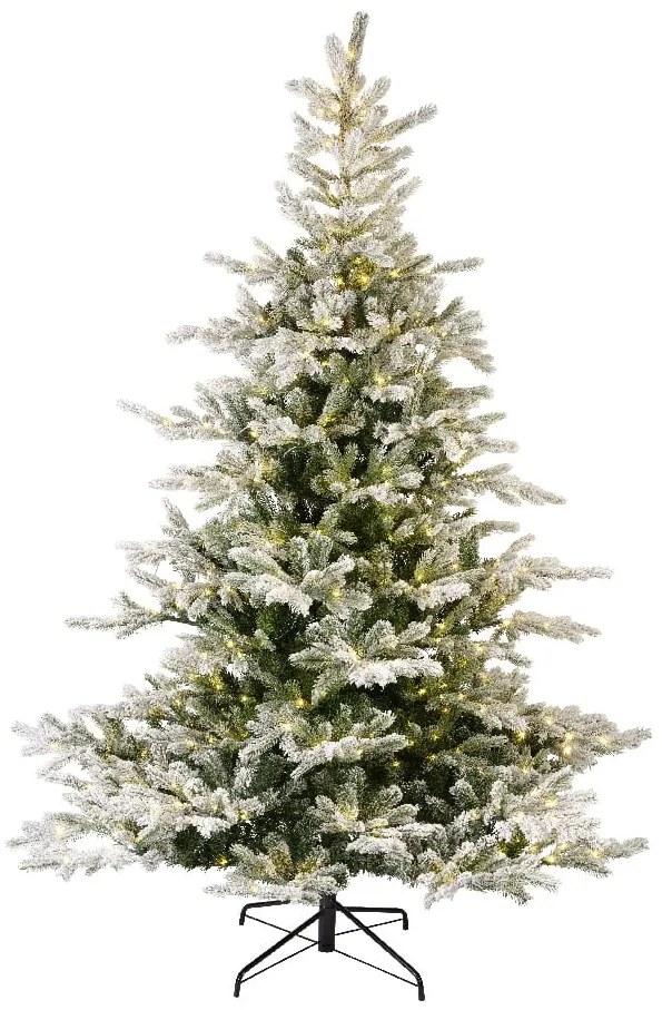 Grandis Fir - Snowy - LED