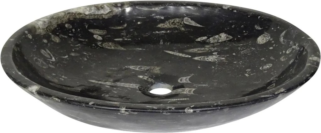 Zwart marmeren waskom | Eeuwenoud Orthoceras Fossiel | 43 x 55 x 11 cm
