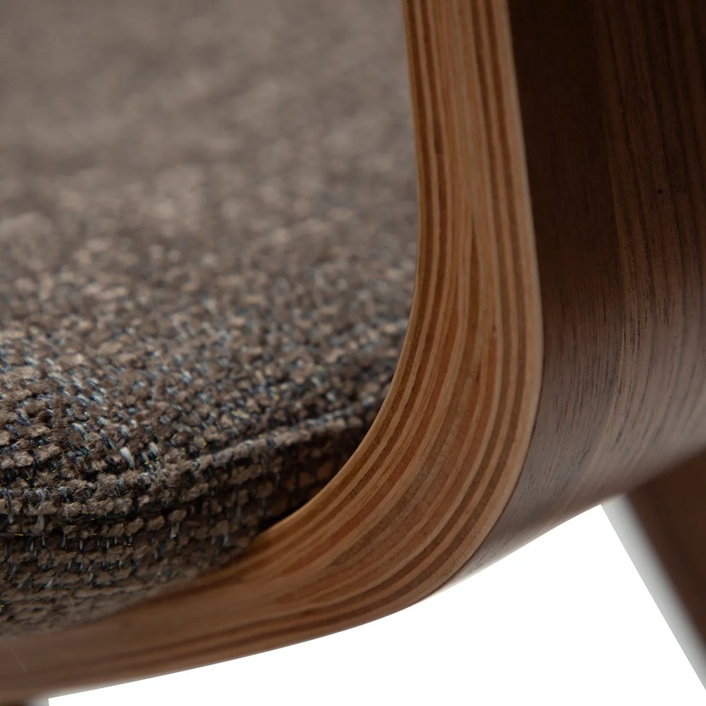 Dan-Form Buckle Eetkamerstoel Scandinavisch Design Bruin Walnoot
