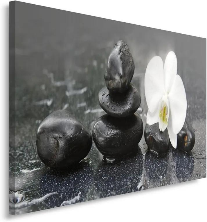 Schilderij - Zwarte Zen stenen en witte orchidee, inspiratie