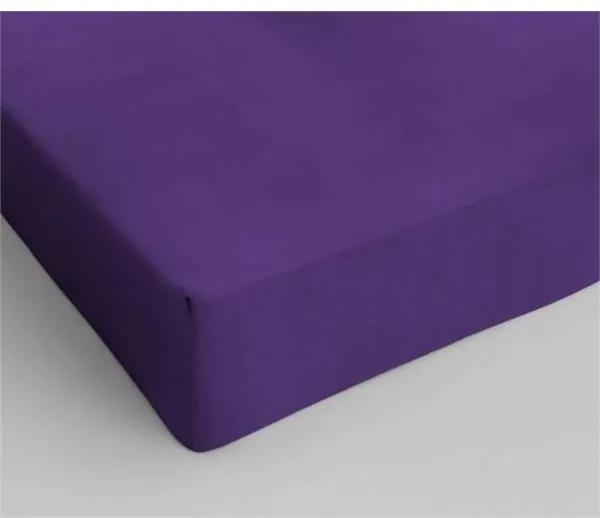 Dreamhouse Bedding Katoen Hoeslaken Purple Paars 200 x 220