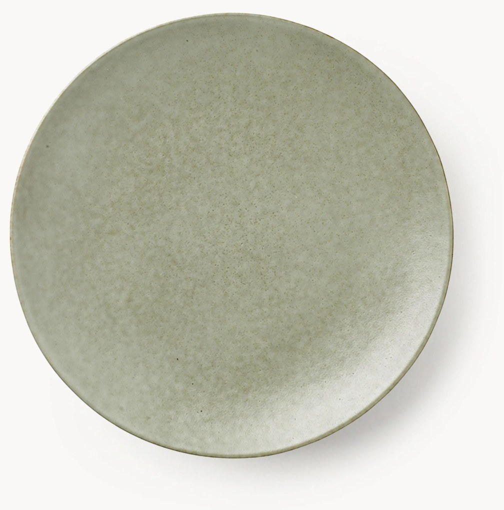 Handgemaakte dinerborden Nordic Marsh, 4 stuks