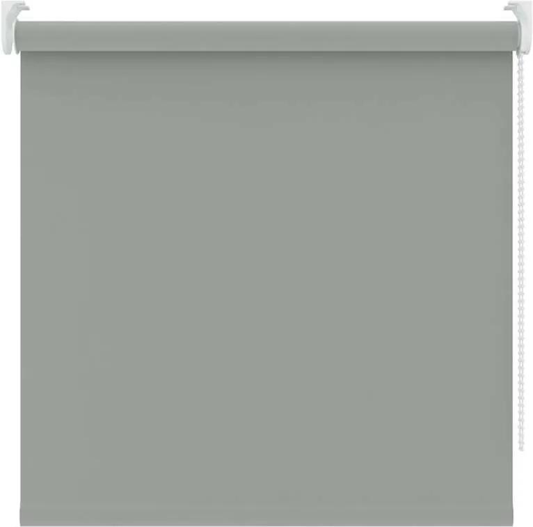 Rolgordijn verduisterend - muisgrijs - 150x250 cm - Leen Bakker