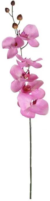 Orchidee Roze 75 cm