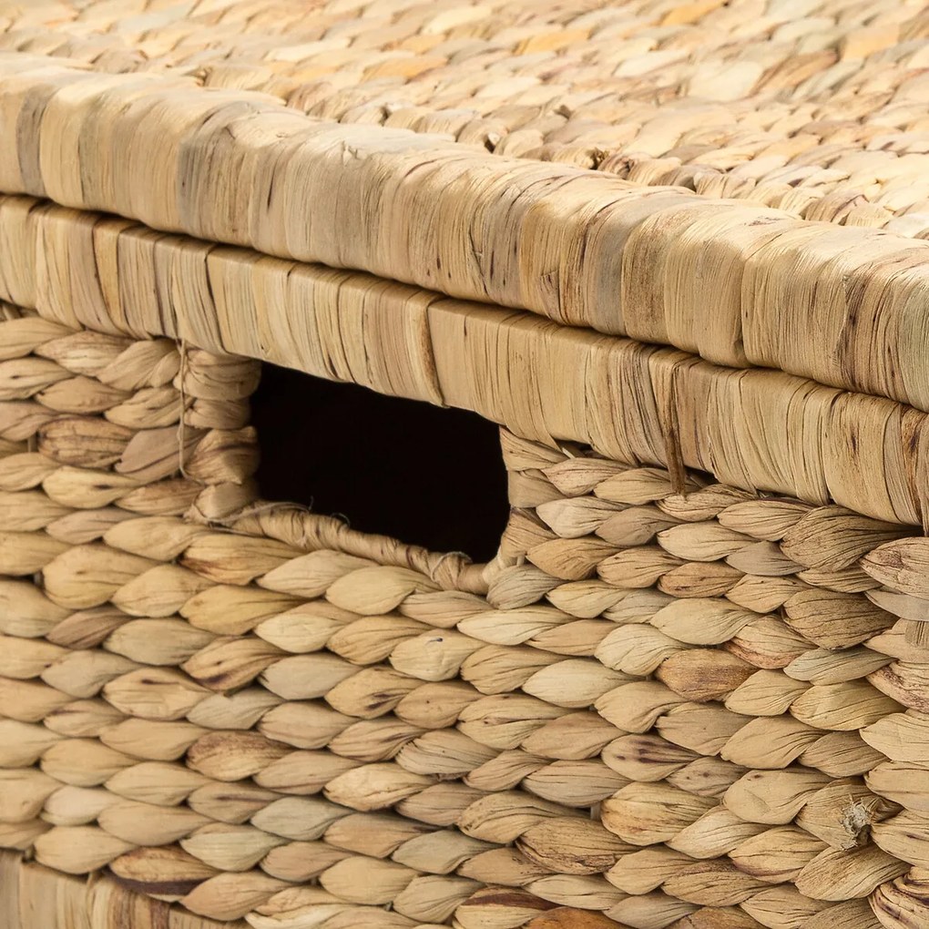 Mand voor onder bed, Lomopi