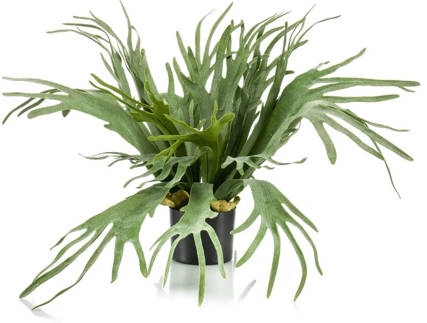 Varen Staghorn Kunstplant - 65 cm