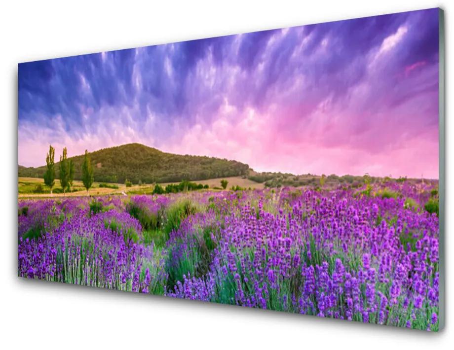 Foto op plexiglas Weide bloemen bergen natuur 100x50 cm