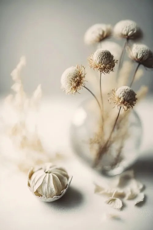 Foto Still Life Impressions No 8, Treechild