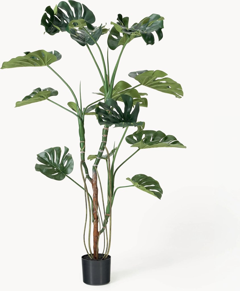 Kunstplant Monstera