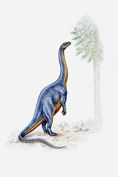 Ilustratie Illustration of a Plateosaurus reaching for, Dorling Kindersley