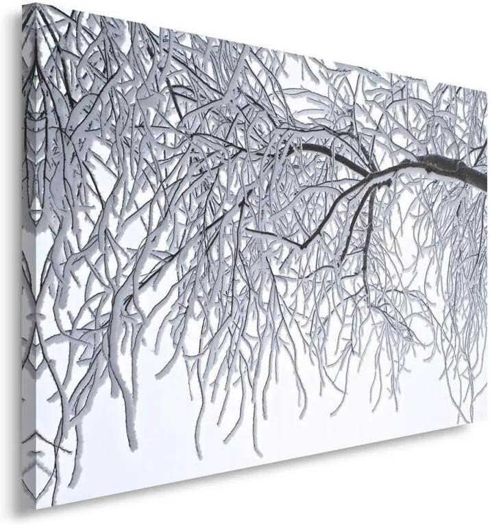 Schilderij - Sneeuw in de bomen. Winterbeeld