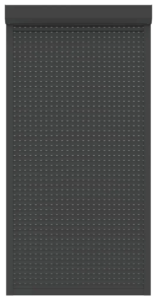 vidaXL Rolluik 110x220 cm aluminium antraciet