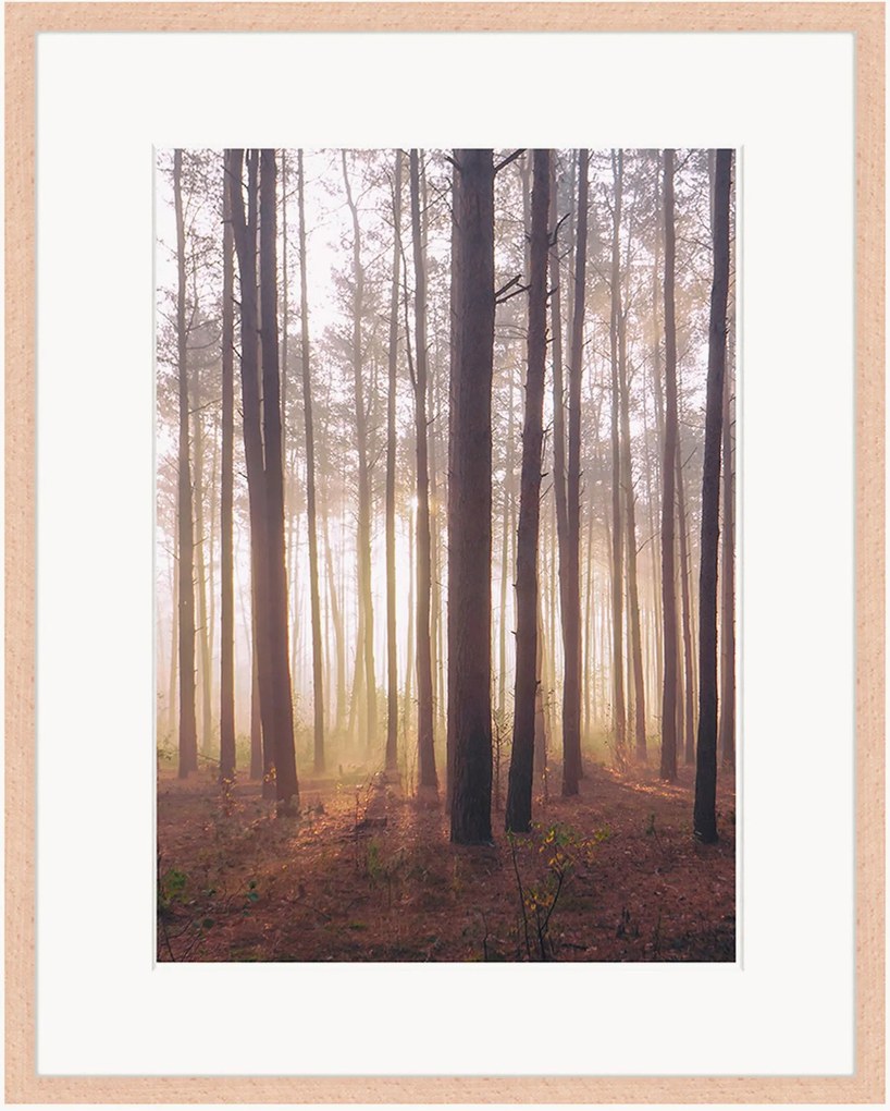 Ingelijste digitale print Into The Foggy Woods