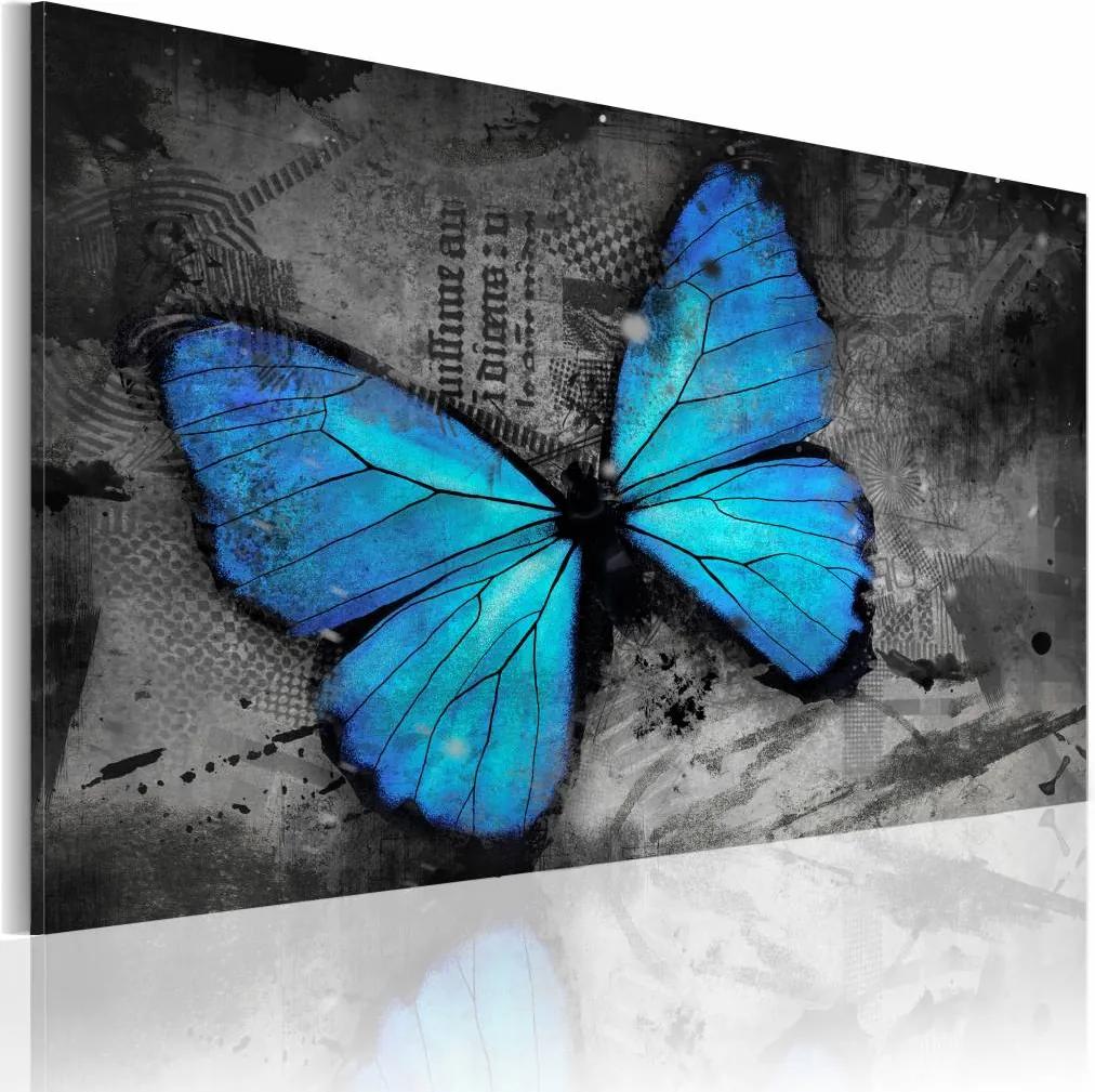 Schilderij - Studie van de vlinder , grijs blauw
