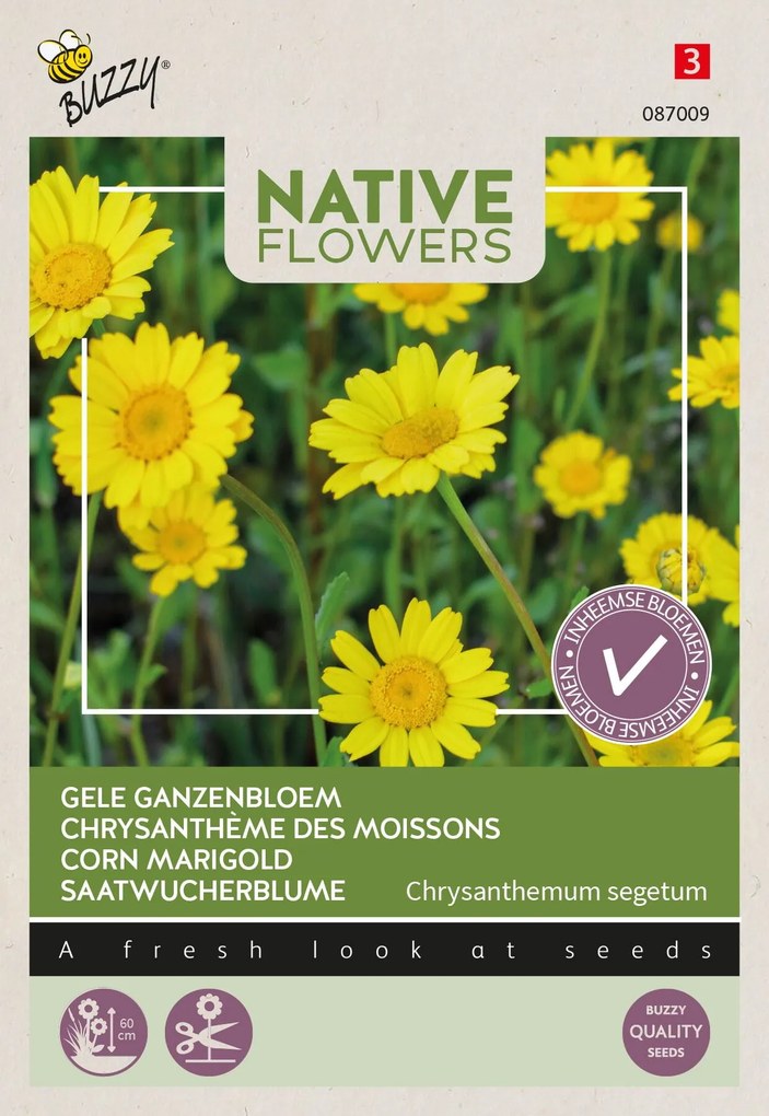 Buzzy seeds - bloemzaden - Gele Ganzenbloem Chrysanthemum Segetum