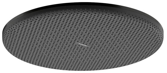 Hansgrohe Raindance Alive S hoofddouche 300 1jet Brushed Black Chrome (antraciet) 24520340