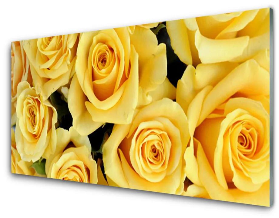 Schilderij op acrylglas Rozen bloemen plant 100x50 cm