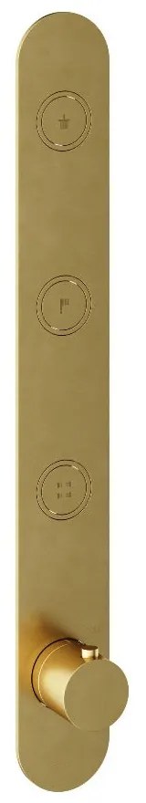 Hotbath Cobber Afbouwdeel thermostaat Verticaal met 3 pushbuttons Geborsteld Messing PVD PB050