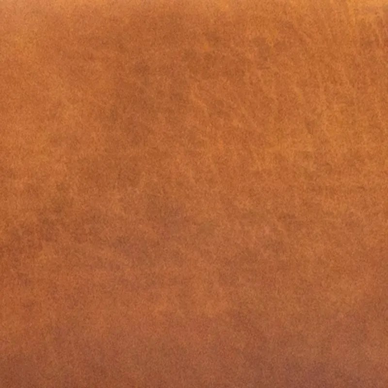 Tweedekans - Fauteuil - Riverdance - leer Colorado cognac 03