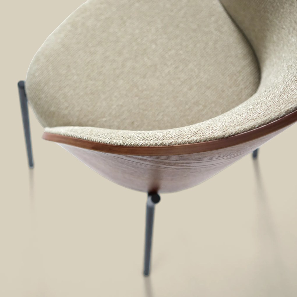 Eetkamerstoel Met Walnoot Rugleuning