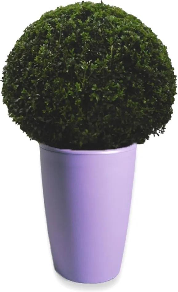 Buxus Bol 40 cm in Essence vaas lila 45 x 66,5 cm Mcollections
