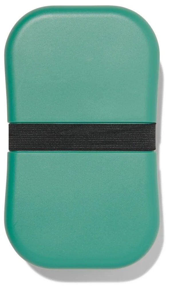 HEMA Lunchbox Met Elastiek XL Groen (groen)