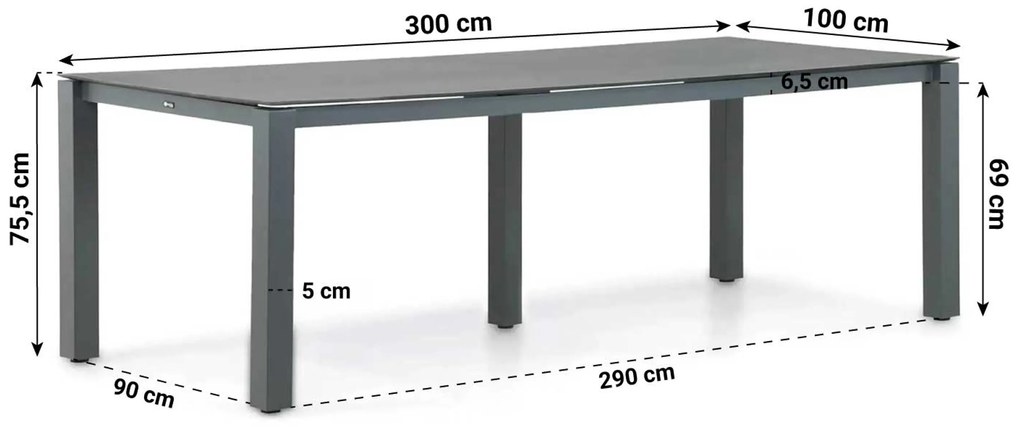 Dining Tuintafel rechthoekig 300 x 100 cm Aluminium/HPL Grijs Santika Yoko