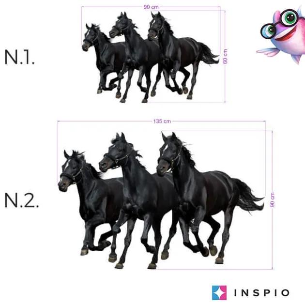 INSPIO Muursticker Drie zwarte paarden