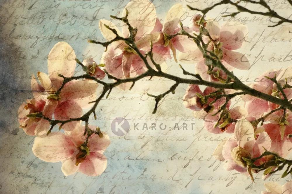 Schilderij - Magnolia boomtak met een verouderd papieren effect en een oud handschrift