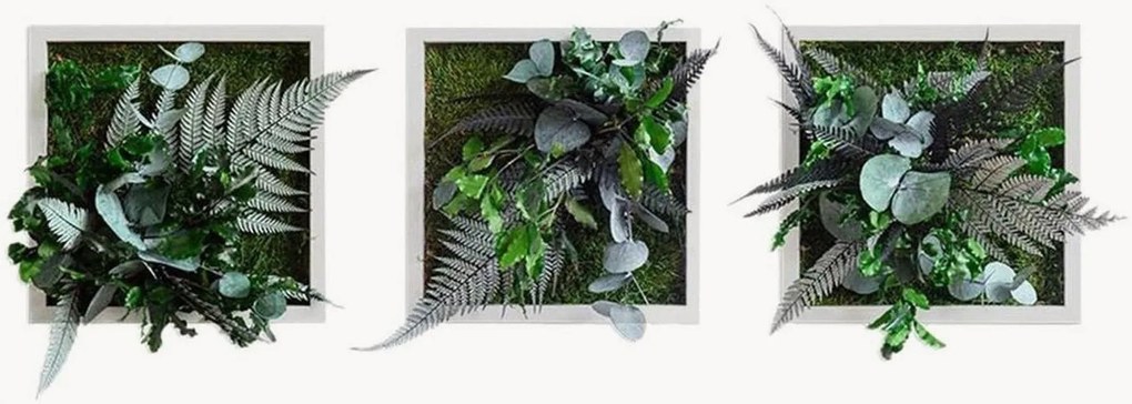 Handgemaakte jungle design wanddecoraties Tropic in lijst, 3-delig