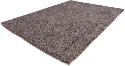 Hoogpolig vloerkleed, »Softshine 2236«, Carpet City, rechthoekig, hoogte 30 mm, machinaal geweven