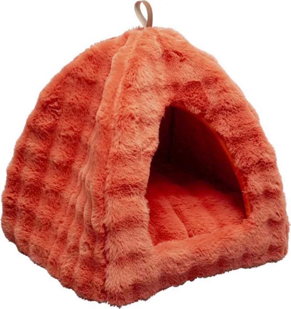 Honden En Kattenmand Oranje Hut