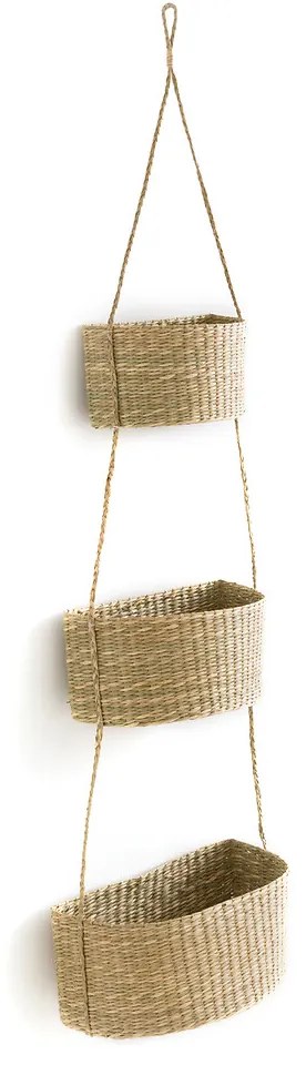 Hangende mandjes in herbarium, Cesta