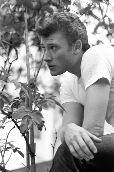 Foto Johnny Hallyday