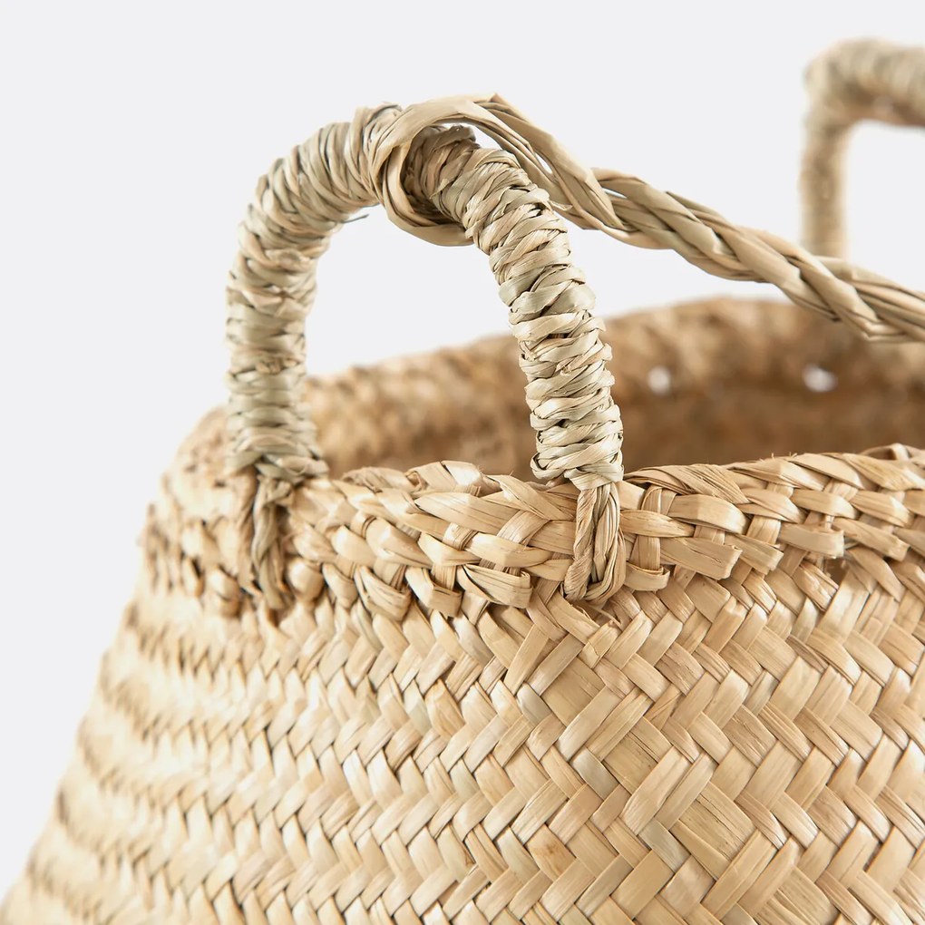 Bolvormige hangmand in strogras, Rixy