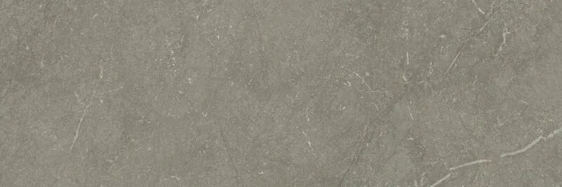 Jabo Munich Taupe wandtegel 40x120cm gerectificeerd