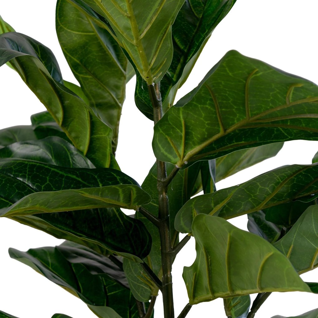 Kunstplant Ficus | House Nordic