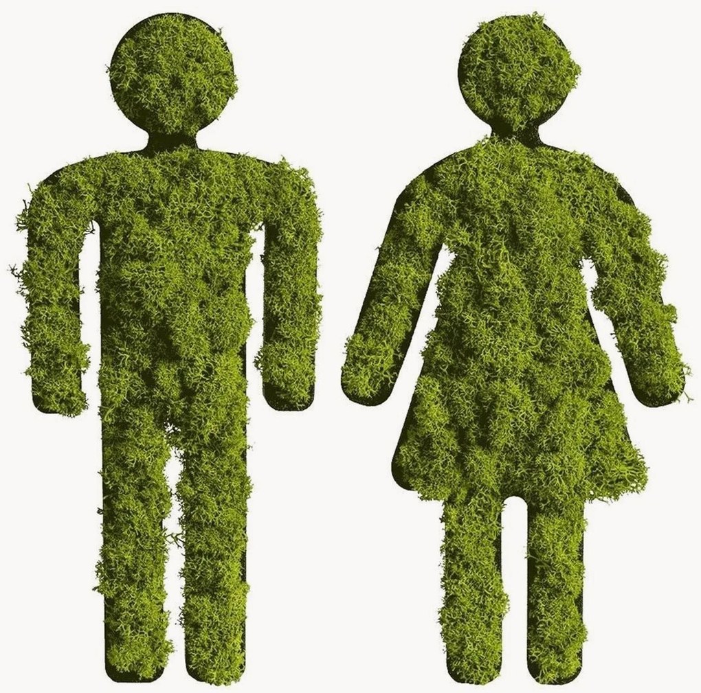 Handgemaakte mos wanddecoraties Piktogram in lijst, 2-delig