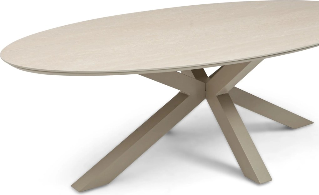 Dining Tuintafel ovaal 240 x 120 cm Taupe Lunea